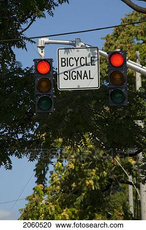 Designated Bicycle Traffic Signal, Ontario View Large Photo Image Stock Image - Designated Bicycle Traffic Signal, Ontario. Fotosearch
