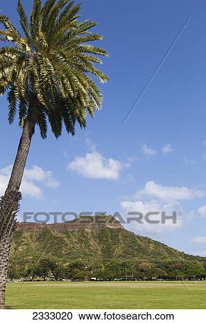 Stock Image - Diamond head seen from kapiolani regional park; Oahu hawaii united states of america. Fotosearch