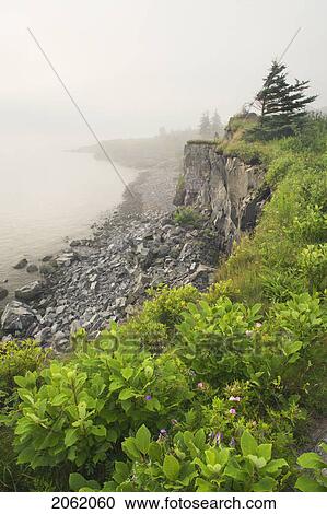 Digby Gut In Fog From Point Prim, Digby, Nova Scotia, Canada View Large Photo Image Stock Image - Digby Gut In Fog From Point Prim, Digby, Nova Scotia, Canada. Fotosearch