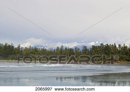 Distant Coast Mountains, Chesterman Beach, Tofino, Vancouver Island, Bc View Large Photo Image Stock Photo - Distant Coast Mountains, Chesterman Beach, Tofino, Vancouver Island, Bc. Fotosearch