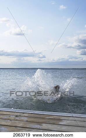 Stock Photo - Dog Going Of Dock After Stick, Clear Lake; Canada, Manitoba, Riding Mountain National Park. Fotosearch