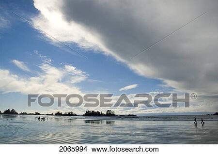 Dramatic Clouds, Chesterman Beach, Tofino, Vancouver Island, Bc View Large Photo Image Picture - Dramatic Clouds, Chesterman Beach, Tofino, Vancouver Island, Bc. Fotosearch