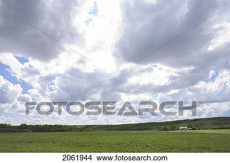 Picture - Dramatic Clouds Of Green Field, Lumsden, Saskatchewan, Canada. Fotosearch