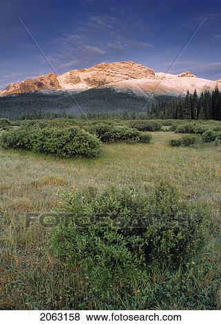 Stock Photo - Eagle's Nest Pass And The Persimmon Range, Willmore Wilderness Area, Alberta, Canada. Fotosearch