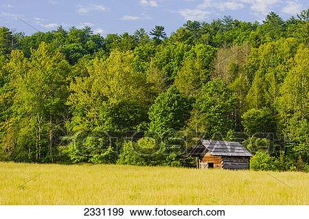 Early morning in cades cove great smoky mountains national park; Tennessee united states of america View Large Photo Image Stock Photo - Early morning in cades cove great smoky mountains national park; Tennessee united states of america. Fotosearch