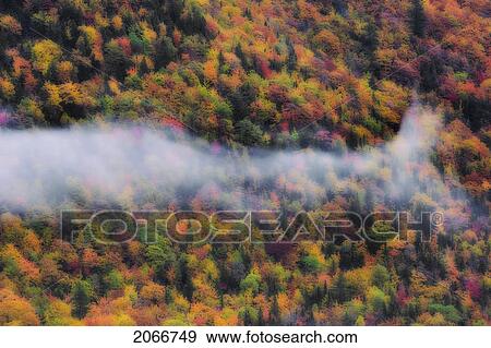 Stock Photo - Early Morning Mist Floats Over Autumn Forest In Cape Breton Highlands National Park, Nova Scotia. Fotosearch