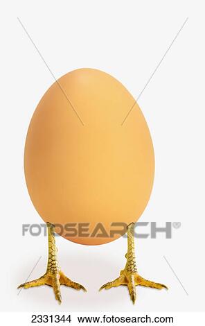 Picture - Egg with bird legs; British columbia canada. Fotosearch