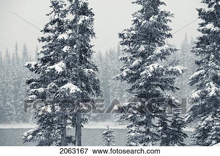 Elbow Lake At Elbow Pass, Peter Lougheed Provincial Park, Alberta, Canada View Large Photo Image Stock Photo - Elbow Lake At Elbow Pass, Peter Lougheed Provincial Park, Alberta, Canada. Fotosearch