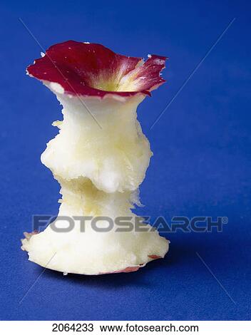 Empire Apple Core On Blue Background View Large Photo Image Stock Image - Empire Apple Core On Blue Background. Fotosearch