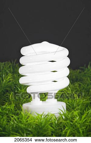 Energy-Saving Light Bulb. View Large Photo Image Picture - Energy-Saving Light Bulb.. Fotosearch