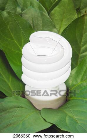 Energy-Saving Light Bulb. View Large Photo Image Stock Image - Energy-Saving Light Bulb.. Fotosearch