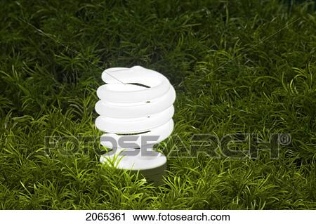 Energy-Saving Light Bulb. View Large Photo Image Stock Image - Energy-Saving Light Bulb.. Fotosearch