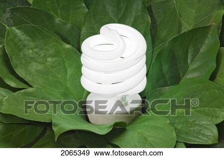 Stock Photo - Energy-Saving Light Bulb.. Fotosearch