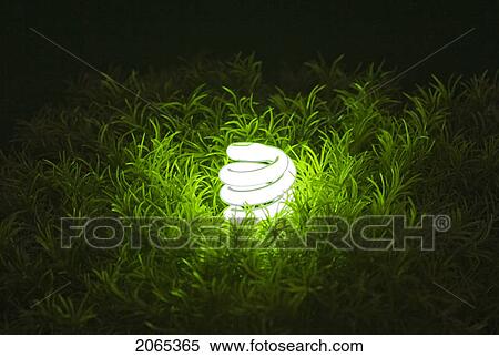 Stock Photography - Energy-Saving Light Bulb.. Fotosearch