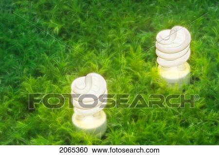 Stock Image - Energy-Saving Light Bulbs.. Fotosearch