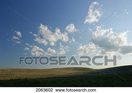 Evening Sun Over Farmland; Canada, Manitoba, Erickson View Large Photo Image Stock Image - Evening Sun Over Farmland; Canada, Manitoba, Erickson. Fotosearch