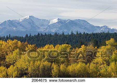 Fall Colour With Snowcapped Mountains In The Background, Clinton, Bc, Canada View Large Photo Image Stock Photography - Fall Colour With Snowcapped Mountains In The Background, Clinton, Bc, Canada. Fotosearch