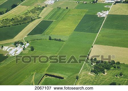 Stock Photo - Farming Land, Fraser Valley, British Columbia, Canada. Fotosearch