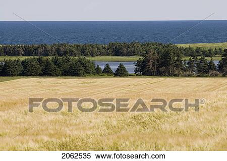 Stock Photography - Farmland And Ocean Near East Point, Prince Edward Island. Fotosearch