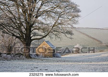 Stock Photography - Farmland barn and trees covered in frost; Pilsley peak district derbyshire england. Fotosearch