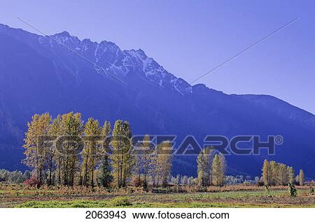 Stock Image - Farmland In Autumn Colors Is Pemberton, Bc, With Mt. Currie Above. Fotosearch