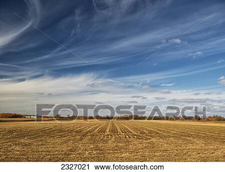 Stock Image - Farmland near london; Ontario canada. Fotosearch
