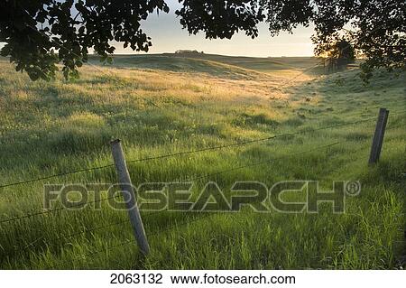 Fence And Pasture Land, Alberta, Canada View Large Photo Image Stock Image - Fence And Pasture Land, Alberta, Canada. Fotosearch