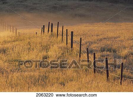 Stock Image - Fence In Pasture Near Cochrane, Alberta, Canada. Fotosearch
