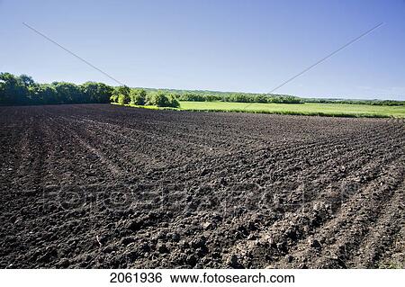 Stock Photograph - Field Lying Fallow, Part Of Crop Rotation Cycle, Saskatchewan, Canada. Fotosearch