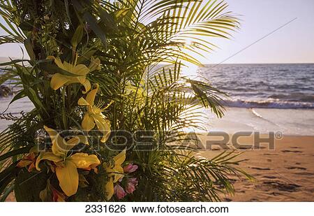 Floral decorations for a destination beach wedding; Puerto vallarta mexico View Large Photo Image Stock Photograph - Floral decorations for a destination beach wedding; Puerto vallarta mexico. Fotosearch