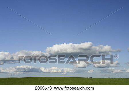 Stock Image - Fluffy Clouds Over Green Crops; Canada, Manitoba, Erickson. Fotosearch