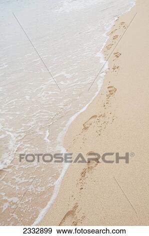 Footprints along the seashore; Waikiki oahu hawaii united states of america View Large Photo Image Stock Photo - Footprints along the seashore; Waikiki oahu hawaii united states of america. Fotosearch