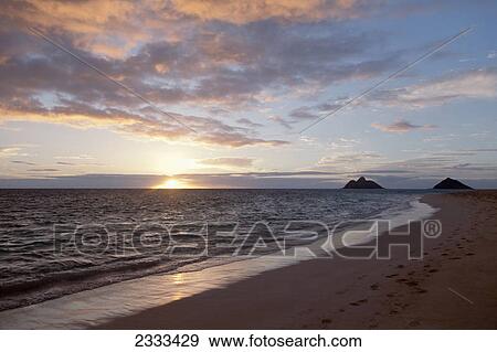 Stock Photo - Footprints in the sand along the water's edge at sunset; Honolulu hawaii united states of america. Fotosearch