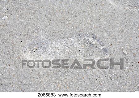 Footprints On Sand, Jacksonville, Florida View Large Photo Image Stock Image - Footprints On Sand, Jacksonville, Florida. Fotosearch