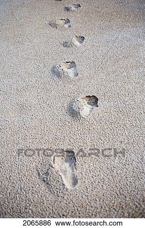 Footprints On Sand, Jacksonville, Florida View Large Photo Image Stock Photograph - Footprints On Sand, Jacksonville, Florida. Fotosearch