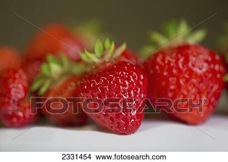 Fresh strawberries; Palmer alaska united states of america View Large Photo Image Picture - Fresh strawberries; Palmer alaska united states of america. Fotosearch