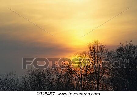 Stock Photo - Golden sunlight in the cloudy sky over silhouetted trees; Ohio united states of america. Fotosearch