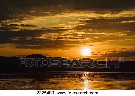 Golden sunlight reflecting on cave run lake at sunset; Morehead kentucky united states of america View Large Photo Image Stock Image - Golden sunlight reflecting on cave run lake at sunset; Morehead kentucky united states of america. Fotosearch