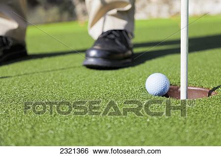 Golf Ball Drops Into The Hole; Kissimmee Florida United States Of America View Large Photo Image Stock Photograph - Golf Ball Drops Into The Hole; Kissimmee Florida United States Of America. Fotosearch
