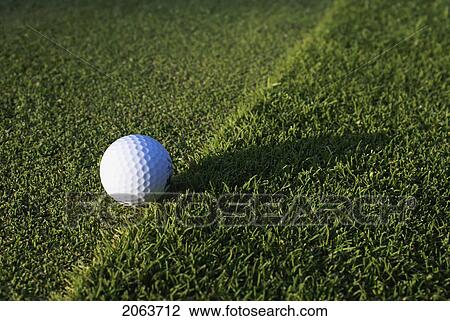 Golf Ball On Organic Golf Course; Canada, Manitoba, Riding Mountain National Park View Large Photo Image Stock Image - Golf Ball On Organic Golf Course; Canada, Manitoba, Riding Mountain National Park. Fotosearch
