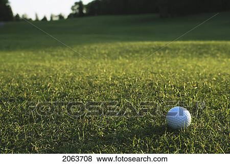 Golf Ball On Organic Golf Course; Canada, Manitoba, Riding Mountain National Park View Large Photo Image Stock Photo - Golf Ball On Organic Golf Course; Canada, Manitoba, Riding Mountain National Park. Fotosearch