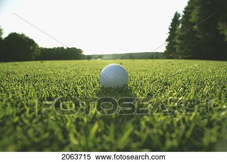 Stock Photography - Golf Ball On Organic Golf Course; Canada, Manitoba, Riding Mountain National Park. Fotosearch