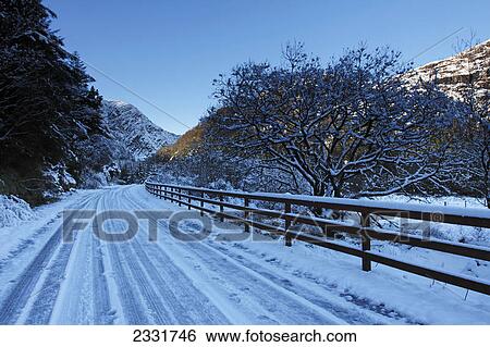 Gougane barra forest park in west cork; County cork ireland View Large Photo Image Stock Photograph - Gougane barra forest park in west cork; County cork ireland. Fotosearch