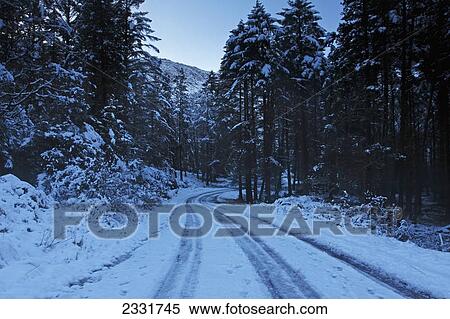 Gougane barra forest park in west cork; County cork ireland View Large Photo Image Stock Photography - Gougane barra forest park in west cork; County cork ireland. Fotosearch