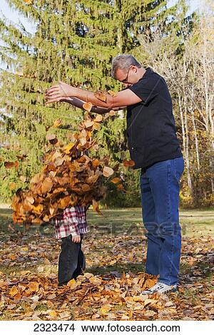 Grandfather and grandson playing in the leaves in a park in autumn; Edmonton alberta canada View Large Photo Image Picture - Grandfather and grandson playing in the leaves in a park in autumn; Edmonton alberta canada. Fotosearch
