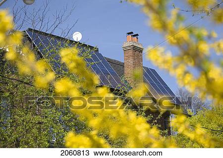 Stock Image - Grasses With Dew. Fotosearch