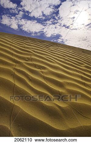 Great Sandhills, Saskatchewan, Canada View Large Photo Image Stock Image - Great Sandhills, Saskatchewan, Canada. Fotosearch