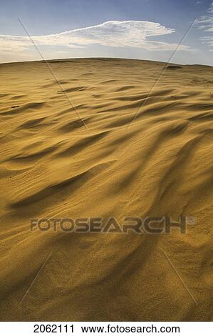 Great Sandhills, Saskatchewan, Canada View Large Photo Image Stock Image - Great Sandhills, Saskatchewan, Canada. Fotosearch