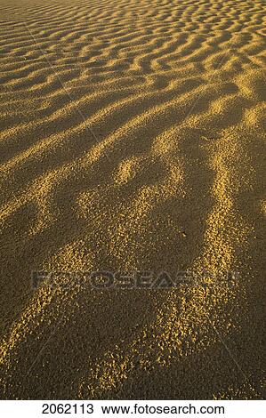 Stock Image - Great Sandhills, Saskatchewan, Canada. Fotosearch