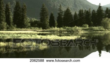 Green Lake And Reflection, Whistler, Bc Canada View Large Photo Image Stock Photo - Green Lake And Reflection, Whistler, Bc Canada. Fotosearch